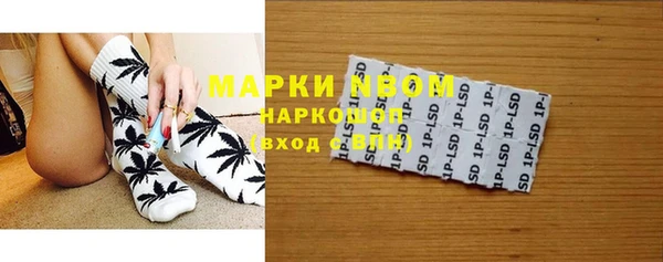 ПСИЛОЦИБИНОВЫЕ ГРИБЫ Баксан