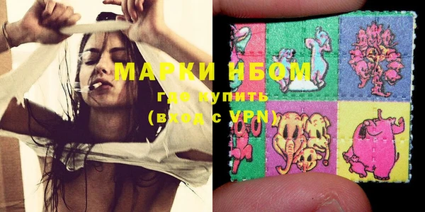 ПСИЛОЦИБИНОВЫЕ ГРИБЫ Баксан