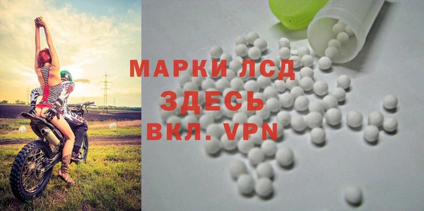 ПСИЛОЦИБИНОВЫЕ ГРИБЫ Баксан